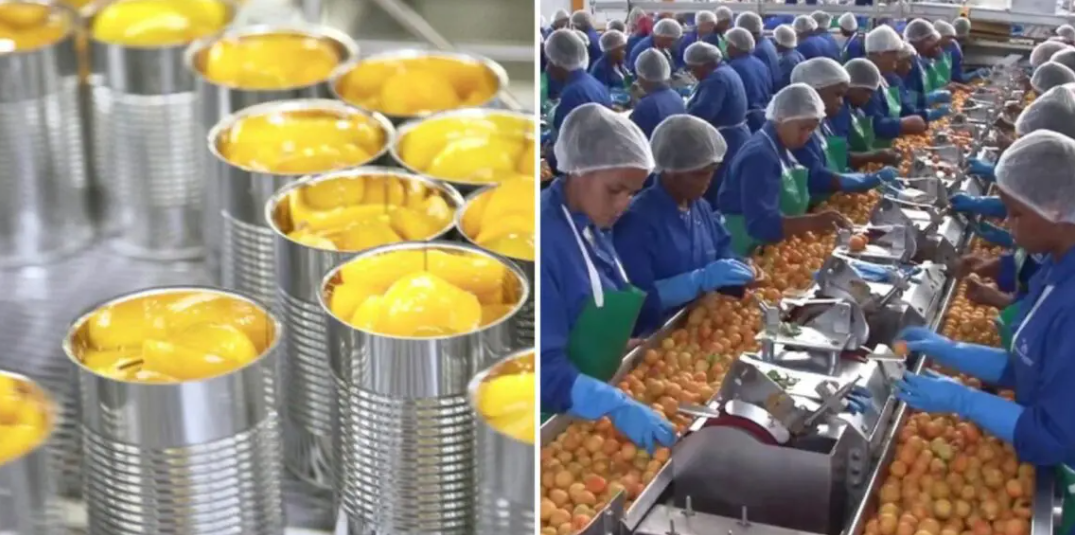 fruit can company